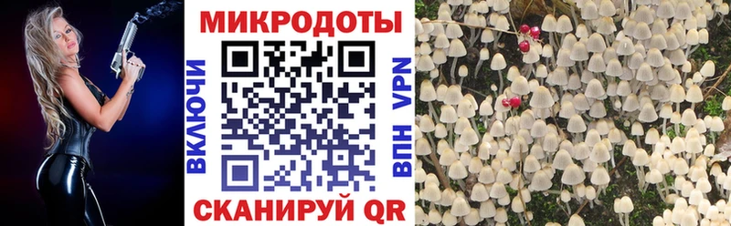 Купить закладки  Таруса  Галлюциногенные грибы мицелий 